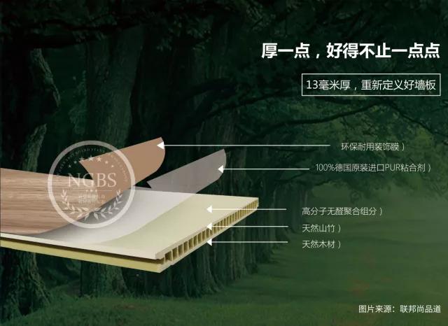 聯(lián)邦尚品道 集成墻面 裝修材料 效果圖