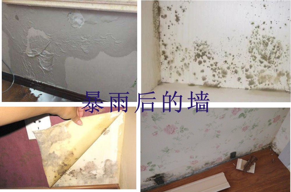 暴雨后的墻.jpg
