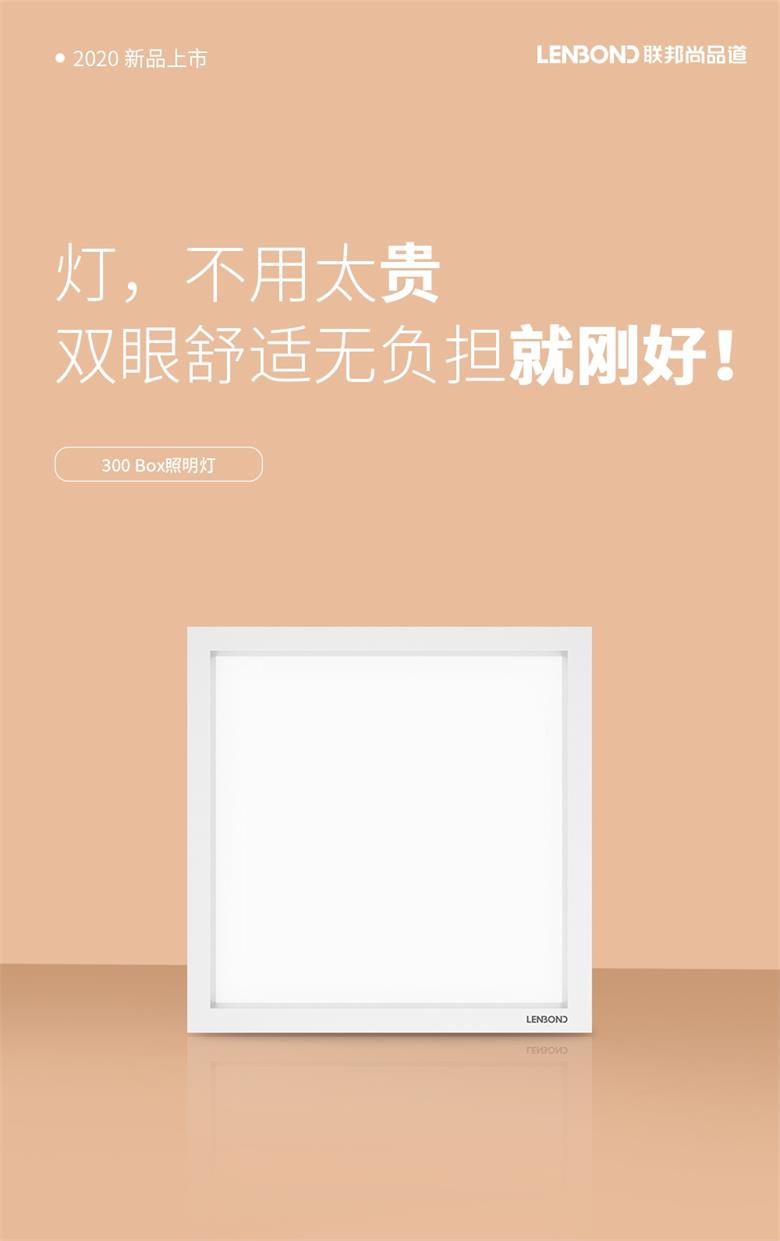 300Box照明燈.jpg 300Box照明燈.jpg